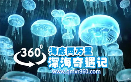 360°全景VR视频：海底两万里之深海奇遇记 走吧 我们一起去抓水母VR神秘海底海洋生物 超清4K 0112-05