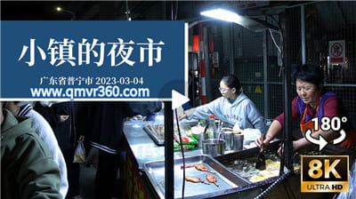 180°全景VR视频：潮汕小镇的夜市 (广东省揭阳市普宁市老二中操场 美食一条街 逛街VR全景视频下载) 超清8K 0815-10